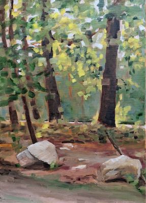 an oil painting of a forest scene with rocks and trees in the foreground