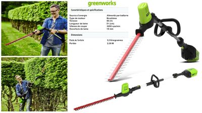 Taille-haies Greenworks 60 V sans fil sur perche 2 m (G60PHT…