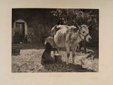 a black and white photo of a man milking a cow