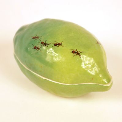 ants crawling on a green lemon on a white surface