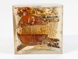 a glass block with a picture of a fish in it