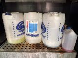 bottles of milk are lined up on a shelf in a refrigerator