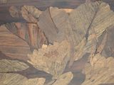 a close up of a piece of wood with leaves on it