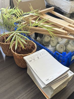 une pile de papiers et une plante posées sur une table
