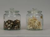 two glass jars with different types of mushrooms in them