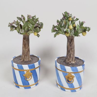 deux petites plantes en pot posées sur une table