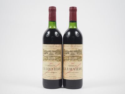 deux bouteilles de vin rouge posées l'une à côté de l'autre sur une surface blanche