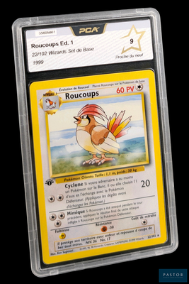 une image d'une carte Pokémon sur laquelle figure un oiseau