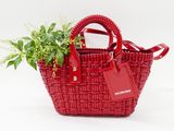 a small red basket bag with a plant in it