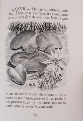 a picture of a book with a picture of a frog on it