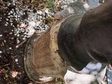 a close up view of a person ' s hand holding a water hose