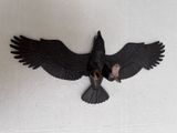a bird that is flying in the air with its wings spread