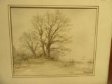 une photo représentant un dessin d'un arbre dans un champ