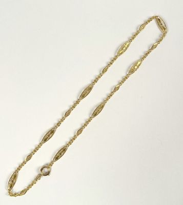 gold plated necklace with a long chain and a clasp on a white background
