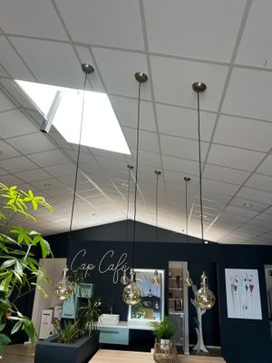 une pièce avec une table et une plante à l'intérieur
