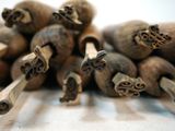 a pile of dried nuts sitting on a table