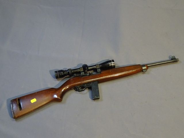 CAT B : N°E171167 - Carabine SEMI AUTO - Cal 22 avec Lunette Wold...