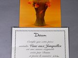 Photo 10/20 du lot