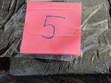a pink sticker that says 5 on the side of a pile of black plastic