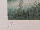 a picture of a picture of a horse in the grass