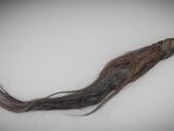 a long brown hair that is laying on a table