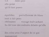 Photo 8/11 du lot
