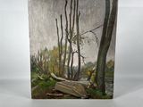 an image of a painting of a boat in the woods