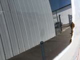 Photo 18/37 du lot