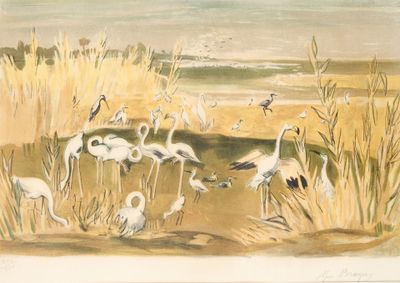 de nombreux oiseaux qui se tiennent dans l'herbe au bord de l'eau