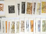 a lot of different types of drawings on a table