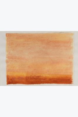 a painting of an orange and brown painting on a white background