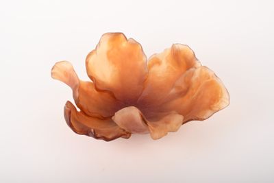 un gros plan d'une fleur orange sur une surface blanche