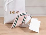 christian dior pink and green striped bow tie in a gift bag