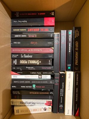 Lot de livres dont polar.