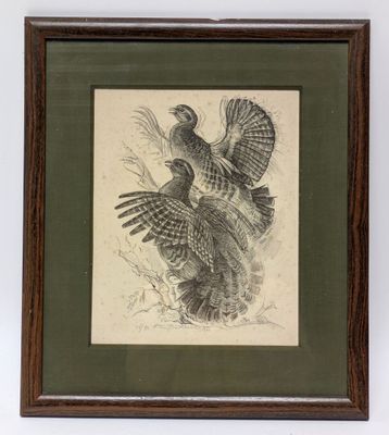 un vieux dessin représentant un oiseau aux ailes déployées dans les airs