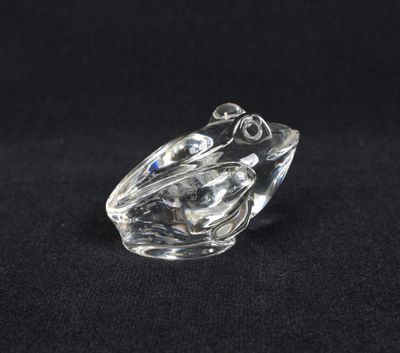 clear glass frog figurine on a black background