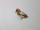 a drawing of a duck on a piece of paper