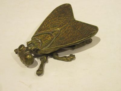 a small bronze insect on a white surface