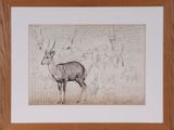 une image représentant un dessin d'antilope dans un cadre en bois