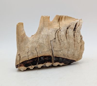un morceau de bois sur lequel on a sculpté quelque chose