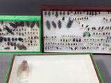 two boxes with different types of bugs in them on a table