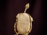 a statue of a turtle on a stand with a black background