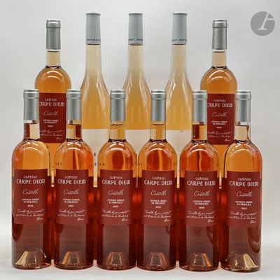 8 B COTEAUX VAROIS EN PROVENCE CASTILLE Rosé, Château Carpe Diem, 2022 - Photo 1