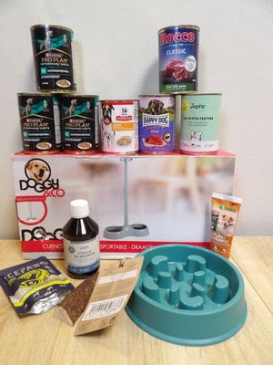 une gamelle pour chien et un bol de croquettes posés sur une table