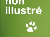 Photo 1/1 du lot