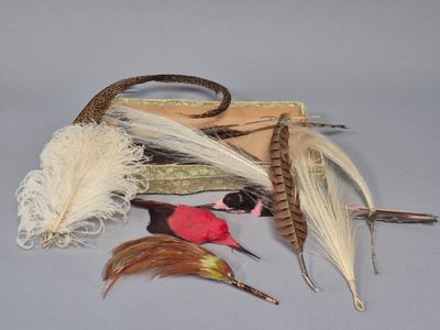 Lot de plumes décoratives (usures)
