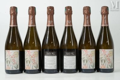 six bouteilles de vin sont alignées sur une surface blanche