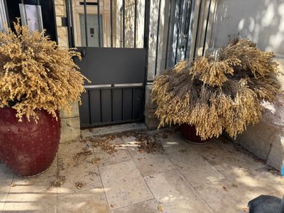 deux jardinières posées à l'extérieur d'un immeuble