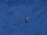 a small boat floating in the middle of the ocean