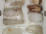 une boîte contenant un assortiment de poisson cru